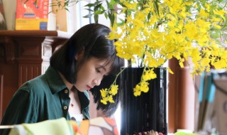 刘婉荟八月长安作品推荐 刘婉荟八月长安作品