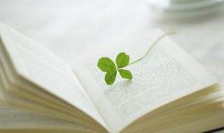 吱吱作品推荐 吱吱作品