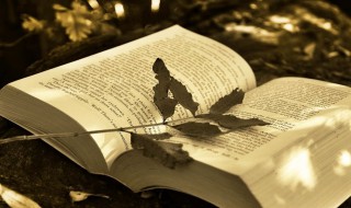 林夕最经典的歌词摘抄 林夕经典歌词摘抄