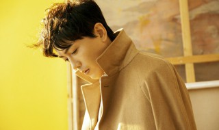 海上繁花林向远的扮演者简介 海上繁花林向远的扮演者是谁