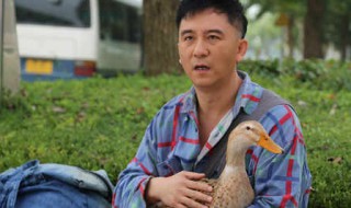 福根进城电视剧简介 福根进城剧情介绍