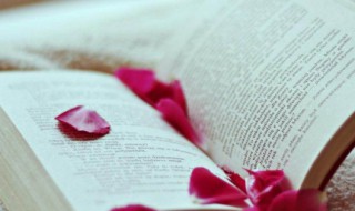 江南烟雨的简介 江南烟雨作品