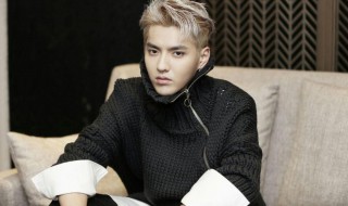 吴亦凡简介介绍 吴亦凡资料简介