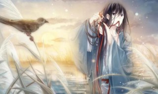 哑舍是什么 哑舍简介