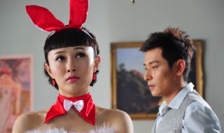 代号九耳犬剧情简介 代号九耳犬剧情介绍