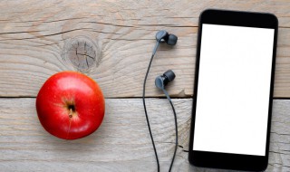 歌词连挽留都没有 没有挽留歌词