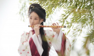 不曾后悔歌词是什么歌 不曾后悔歌词