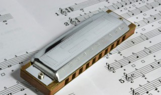 两只口袋歌曲 两个口袋歌词