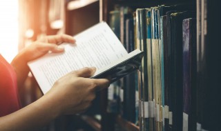 歌曲多情人 多情人歌词