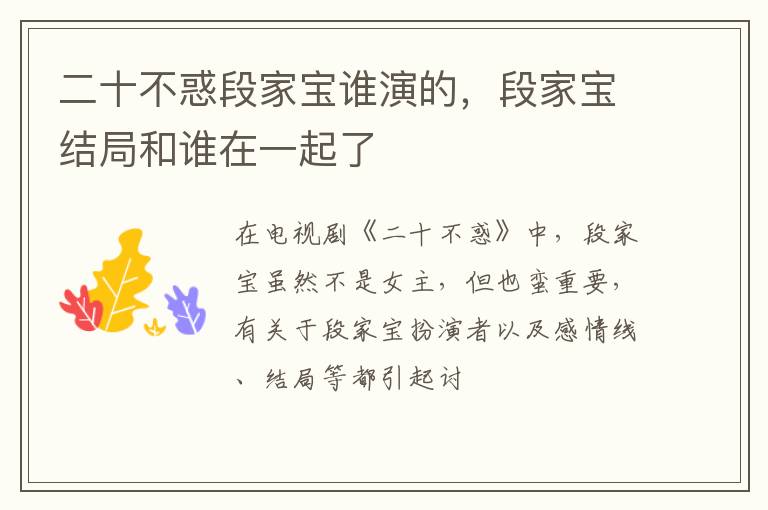 段家宝结局和谁在一起了 二十不惑段家宝谁演的
