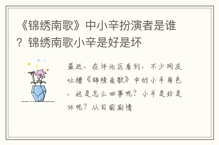 锦绣南歌小辛是好是坏 《锦绣南歌》中小辛扮演者是谁