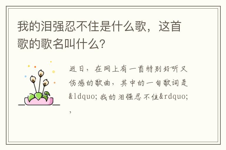 这首歌的歌名叫什么 我的泪强忍不住是什么歌
