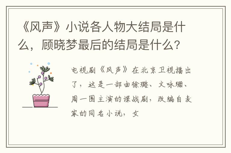 顾晓梦最后的结局是什么 《风声》小说各人物大结局是什么