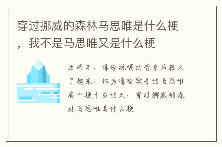 我不是马思唯又是什么梗 穿过挪威的森林马思唯是什么梗