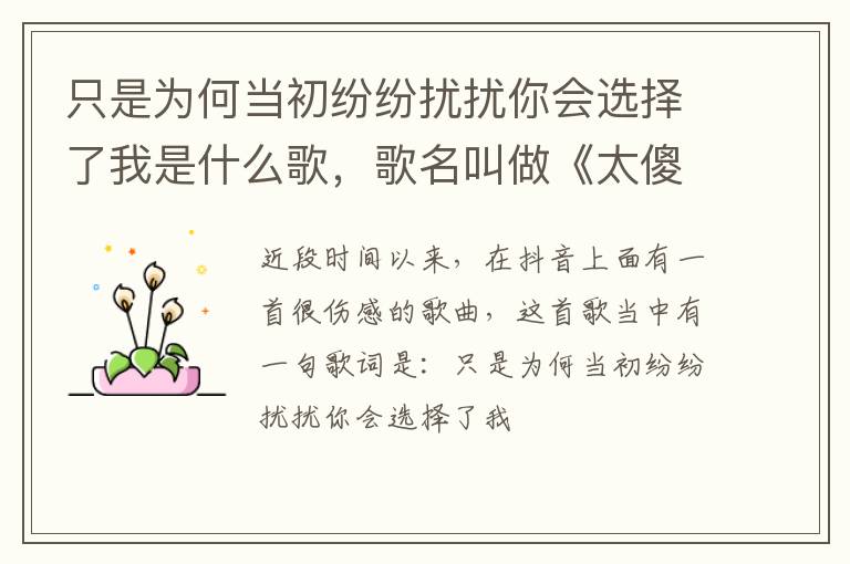歌名叫做《太傻》 只是为何当初纷纷扰扰你会选择了我是什么歌
