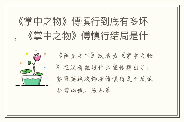 《掌中之物》傅慎行结局是什么 《掌中之物》傅慎行到底有多坏