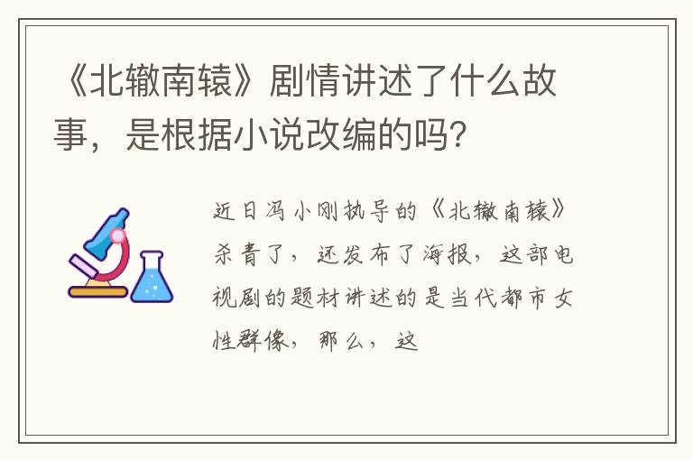 是根据小说改编的吗 《北辙南辕》剧情讲述了什么故事
