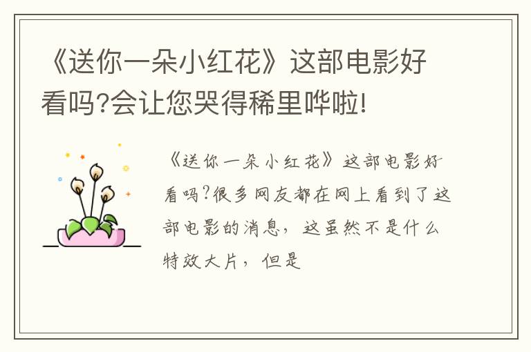 会让您哭得稀里哗啦! 《送你一朵小红花》这部电影好看吗