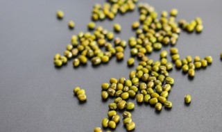 盆栽绿豆种植方法有哪些 盆栽绿豆种植方法如下
