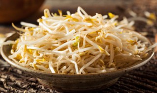 自家怎么发黄豆芽窍门 怎么发黄豆芽窍门
