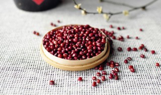 红豆芽怎么发又粗又快 红豆芽怎么发