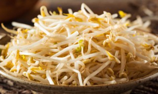 在家怎么种黄豆芽 怎么种黄豆芽