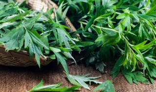 端午挂艾草可以挂哪些地方 端午挂艾草怎么挂