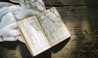清朝皇子可以出宫吗 清朝皇帝可以出宫吗