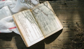 为什么称孔夫子是圣人 为什么称孔夫子是圣人