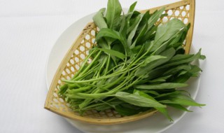 空心菜怎么种发芽快 空心菜发芽了怎么种