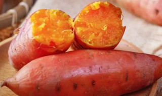 红薯发芽能种出红薯吗 家里红薯发芽了怎么种
