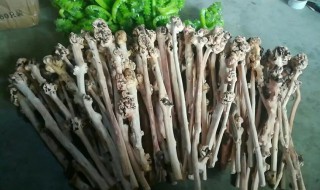 麻梨生长在什么地方 麻梨木栽种注意事项
