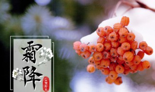 霜降是什么节气 霜降是什么节日