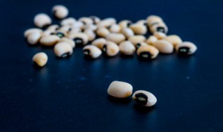 豆荚是种子吗 豆荚靠什么传播种子