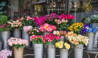 不适合在室内养的花样年华 不适合在室内养的花