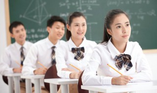 怎么理解太狗了的意思 太狗了是什么意思