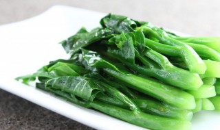 青菜什么时候种植 青菜什么时候种