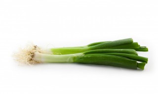 东北什么时候种葱最佳时间 什么时候种葱最佳时间