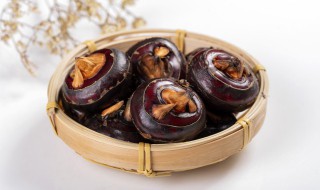 马蹄什么时候种植最佳 马蹄什么时候种
