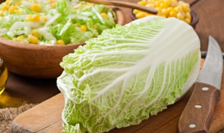 什么时候种白菜萝卜最合适 什么时候种白菜
