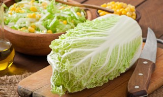 什么时候种白菜好不好 什么时候种白菜好
