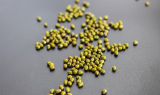 绿豆应该什么时候种 绿豆什么时候种最合适