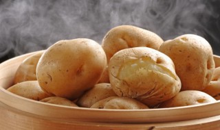 秋土豆什么时候种植 秋土豆什么时候种