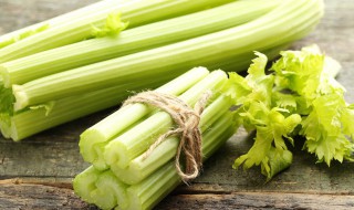 芹菜什么时间种怎么种 芹菜什么时候种怎么种