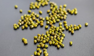 绿豆最晚几月份种植 绿豆最晚什么时候种