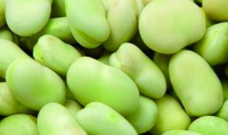 几月份种胡豆 胡豆什么时候种