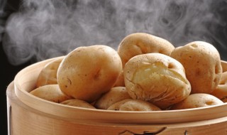 土豆什么时候种好 士豆什么时候可以种