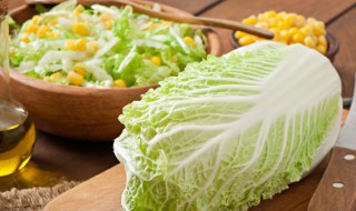 阳台盆栽蔬菜怎么种 阳台蔬菜怎么种
