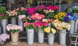 花束可以保鲜多久 花束可以保存几天