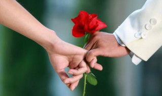 一束花怎么养 如何养好一支花